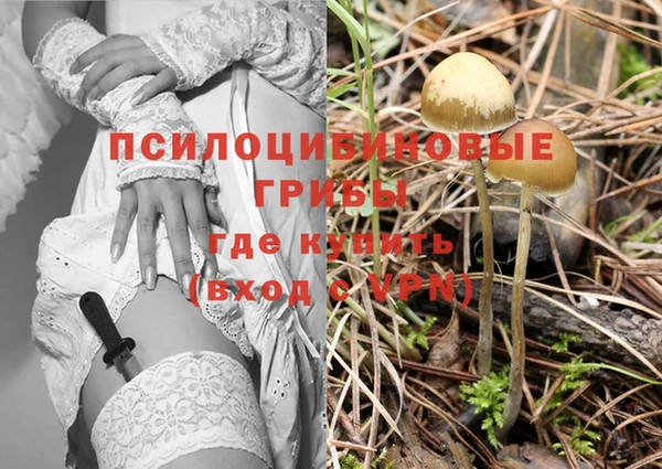 ГАЛЛЮЦИНОГЕННЫЕ ГРИБЫ Алексин