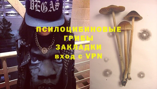 ГАЛЛЮЦИНОГЕННЫЕ ГРИБЫ Алексин
