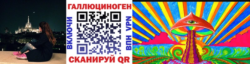 kraken вход  даркнет сайт  Рошаль  Галлюциногенные грибы Psilocybe 
